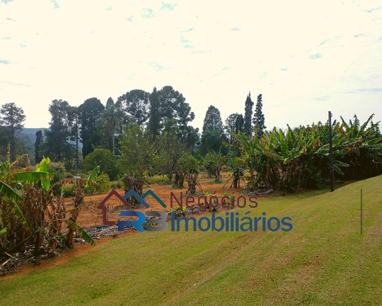 Imagem Chácara com 7 Quartos à Venda, 400 m² em área Rural De São Roque - São Roque