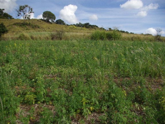 Imagem Imóvel à Venda, 435.600 m² em Zona Rural - Jacui