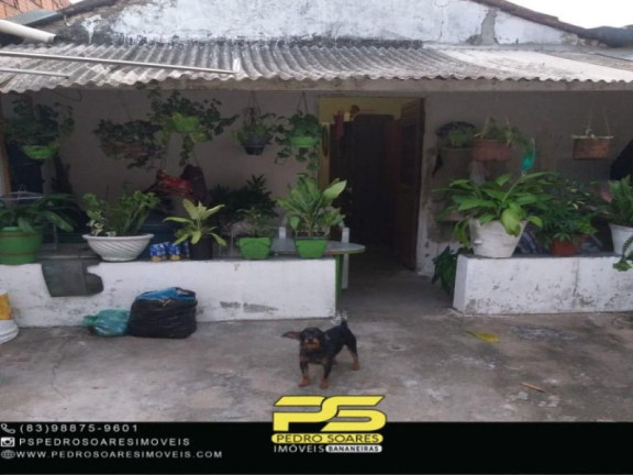 Imagem Casa com 2 Quartos à Venda, 50 m² em Jardim Tavares - Campina Grande Imagem Casa com 2 Quartos à Venda, 50 m² em Jardim Tavares - Campina Grande