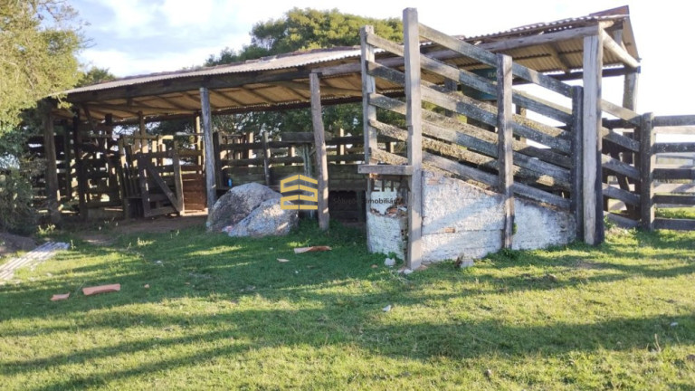 Imagem Imóvel com 3 Quartos à Venda, 760.000 m² em 3ºdistrito Boa Vista - Canguçu Imagem Imóvel com 3 Quartos à Venda, 760.000 m² em 3ºdistrito Boa Vista - Canguçu