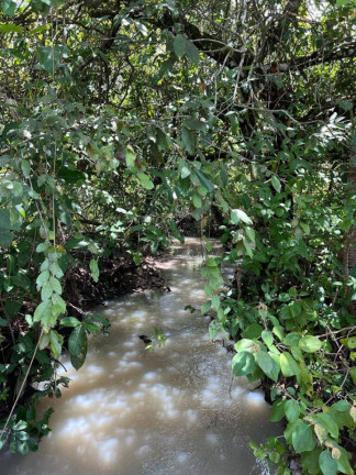 Imagem Fazenda à Venda, 3.463 m² em Zona Rural - Paranã Imagem Fazenda à Venda, 3.463 m² em Zona Rural - Paranã