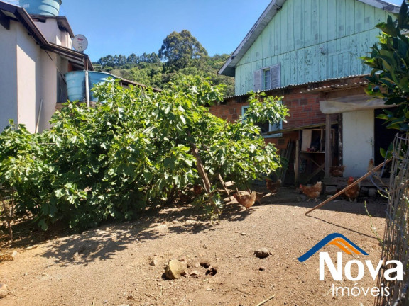 Imagem Imóvel com 3 Quartos à Venda, 85 m² em Piá - Nova Petrópolis Imagem Imóvel com 3 Quartos à Venda, 85 m² em Piá - Nova Petrópolis