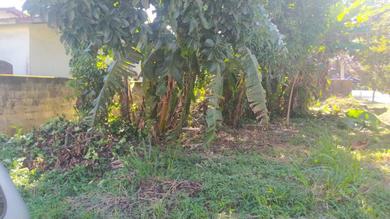 Imagem Terreno à Venda, 252 m² em Massaguaçu - Caraguatatuba Imagem Terreno à Venda, 252 m² em Massaguaçu - Caraguatatuba