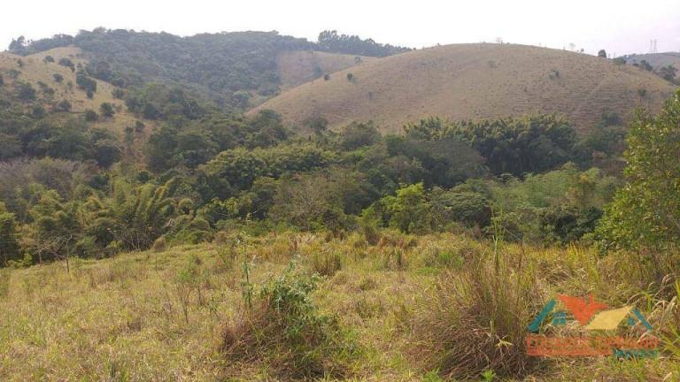 Imagem Terreno à Venda, 3.604 m² em Rio Claro - Paraibuna