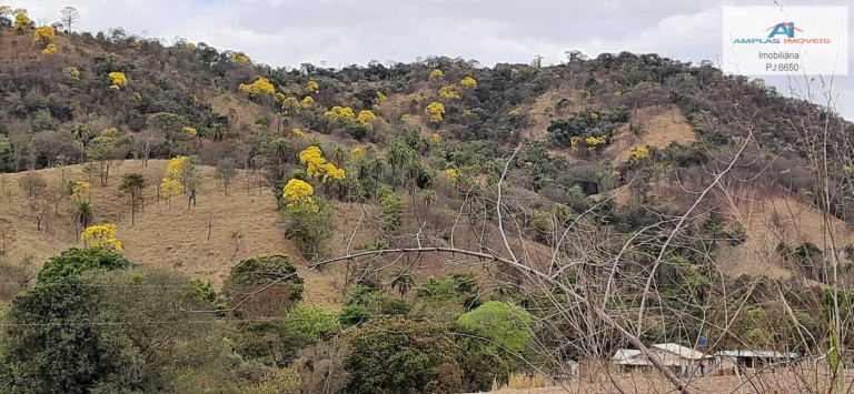 Imagem Fazenda à Venda, 37 m² em Azurita Distrito De Mateus Leme