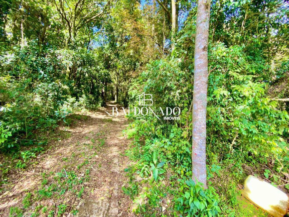 Imagem Fazenda à Venda, 130 m² em Centro - Munhoz Imagem Fazenda à Venda, 130 m² em Centro - Munhoz