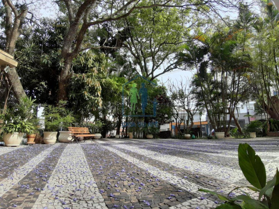Imagem Apartamento com 3 Quartos à Venda, 70 m² em Vila Mascote - São Paulo Imagem Apartamento com 3 Quartos à Venda, 70 m² em Vila Mascote - São Paulo