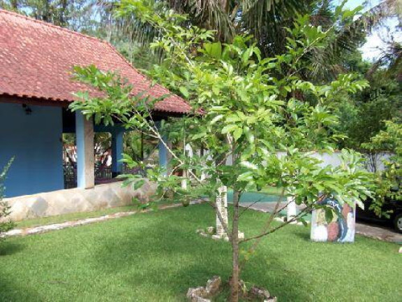 Imagem Chácara com 7 Quartos à Venda, 54 m² em Parque Serramar - Itariri Imagem Chácara com 7 Quartos à Venda, 54 m² em Parque Serramar - Itariri