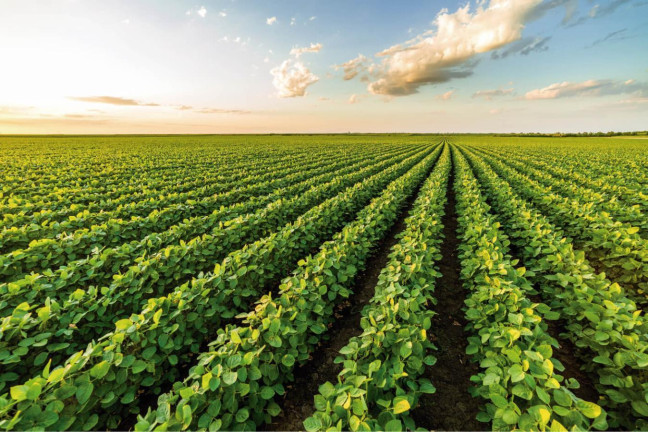 Imagem Fazenda à Venda, 2.178 m² em Rural - Itaí