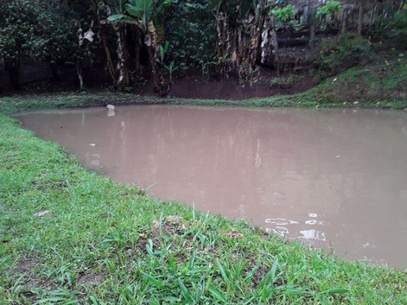 Imagem Fazenda à Venda, 1.000 m² em Silveiras