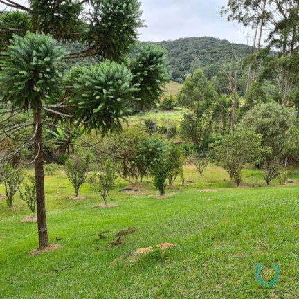 Imagem Chácara com 3 Quartos à Venda, 250 m² em Centro (canguera) - São Roque Imagem Chácara com 3 Quartos à Venda, 250 m² em Centro (canguera) - São Roque