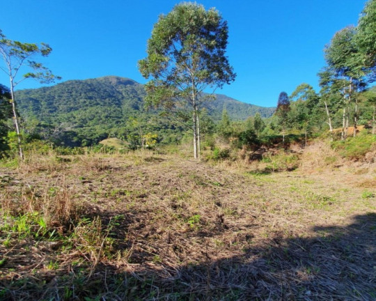 Imagem Terreno à Venda, 96.000 m² em Dom Joaquim - Brusque Imagem Terreno à Venda, 96.000 m² em Dom Joaquim - Brusque