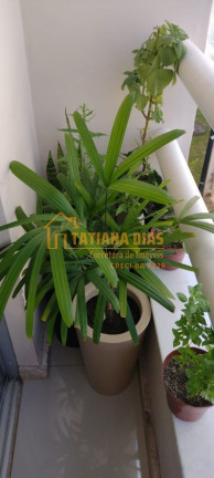 Imagem Apartamento à Venda, 