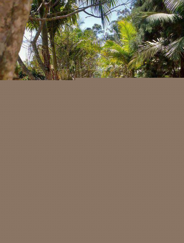 Imagem Imóvel à Venda, 27.000 m² em Quarta Divisão - Ribeirão Pires Imagem Imóvel à Venda, 27.000 m² em Quarta Divisão - Ribeirão Pires