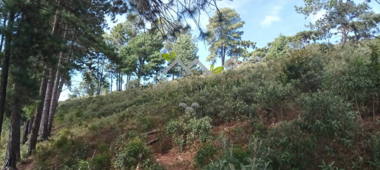 Imagem Terreno à Venda, 5 m² em Cidade Do Sol Ii - Campos Do Jordão Imagem Terreno à Venda, 5 m² em Cidade Do Sol Ii - Campos Do Jordão