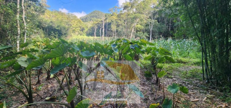 Imagem Terreno à Venda, 23 m² em Mury - Nova Friburgo Imagem Terreno à Venda, 23 m² em Mury - Nova Friburgo