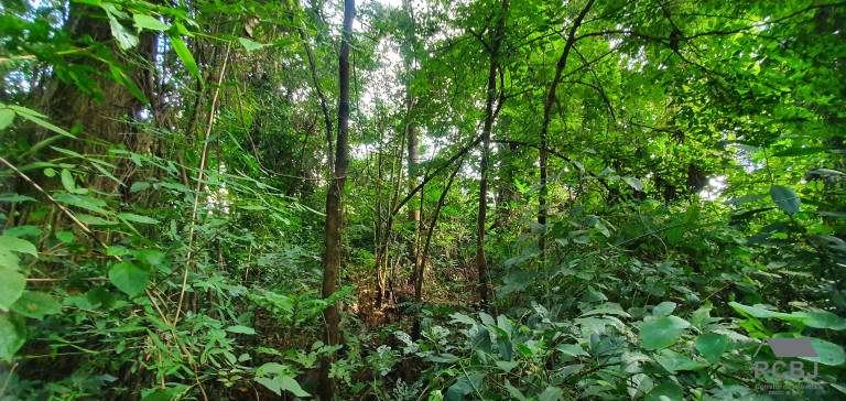 Imagem Terreno à Venda, 1.000 m² em Retiro Do Chalé - Brumadinho Imagem Terreno à Venda, 1.000 m² em Retiro Do Chalé - Brumadinho