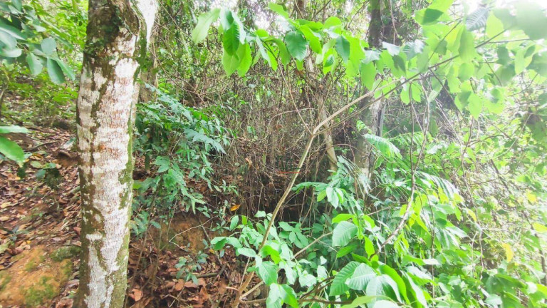 Imagem Terreno à Venda, 360 m² em Piratininga - Niterói Imagem Terreno à Venda, 360 m² em Piratininga - Niterói