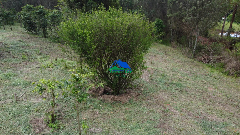 Imagem Terreno à Venda, 55.000 m² em Zona Rural - Aiuruoca Imagem Terreno à Venda, 55.000 m² em Zona Rural - Aiuruoca