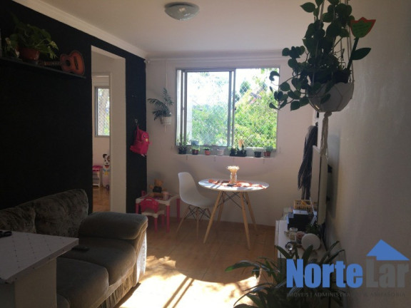 Imagem Apartamento com 2 Quartos à Venda, 45 m² em Jaraguá - São Paulo Imagem Apartamento com 2 Quartos à Venda, 45 m² em Jaraguá - São Paulo