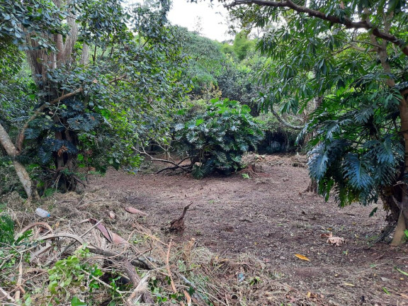 Imagem Terreno à Venda, 2.437 m² em Chácara Eliana - Cotia