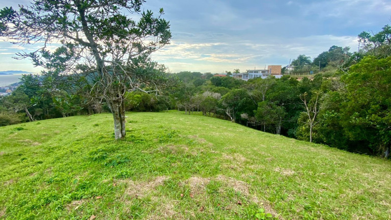Imagem Terreno à Venda, 4.908 m² em Praia Da Silveira - Garopaba Imagem Terreno à Venda, 4.908 m² em Praia Da Silveira - Garopaba