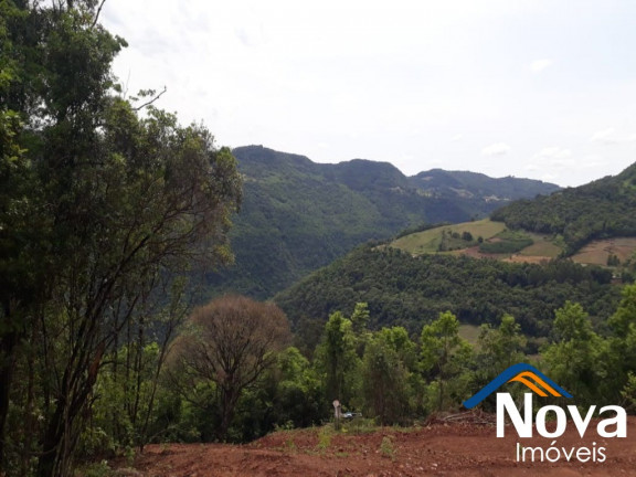 Imagem Imóvel à Venda, 31.701 m² em Linha Pirajá Baixa - Nova Petrópolis Imagem Imóvel à Venda, 31.701 m² em Linha Pirajá Baixa - Nova Petrópolis