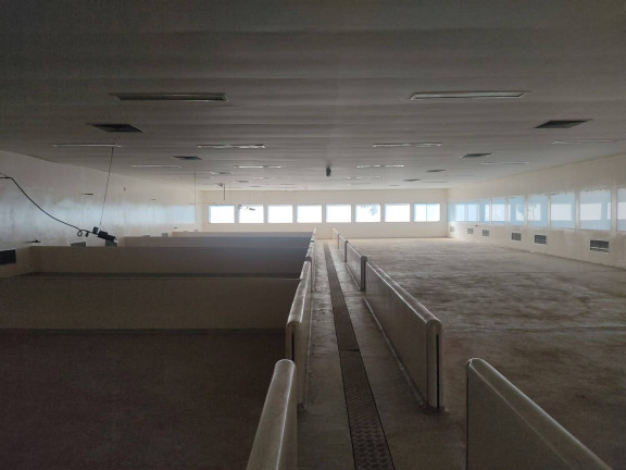 Imagem Chácara com 4 Quartos à Venda, 850 m² em Itarassú - Capela Do Alto Imagem Chácara com 4 Quartos à Venda, 850 m² em Itarassú - Capela Do Alto