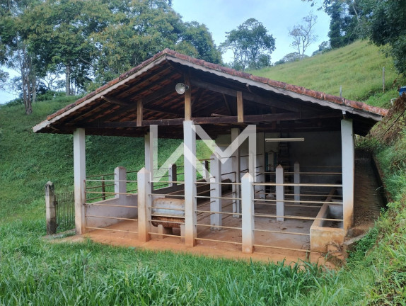 Imagem Fazenda à Venda, 3.000 m² em Cuiaba - Nazaré Paulista Imagem Fazenda à Venda, 3.000 m² em Cuiaba - Nazaré Paulista