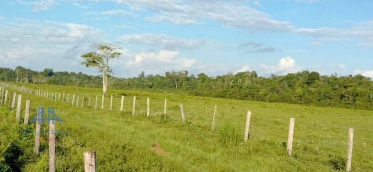 Imagem Fazenda à Venda, 2.190.000 m² em Alça Viaria - Acará Imagem Fazenda à Venda, 2.190.000 m² em Alça Viaria - Acará