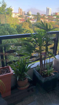 Imagem Apartamento com 4 Quartos à Venda, 240 m² em Jardim Da Saúde - São Paulo