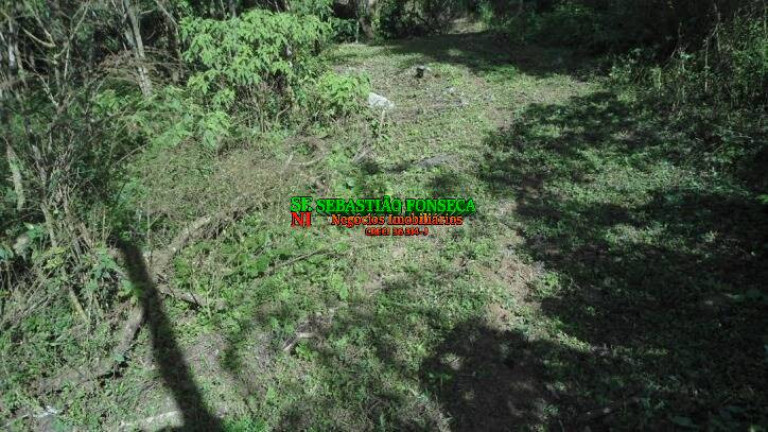 Imagem Chácara à Venda, 72.600 m² em São Francisco Xavier - São José Dos Campos Imagem Chácara à Venda, 72.600 m² em São Francisco Xavier - São José Dos Campos