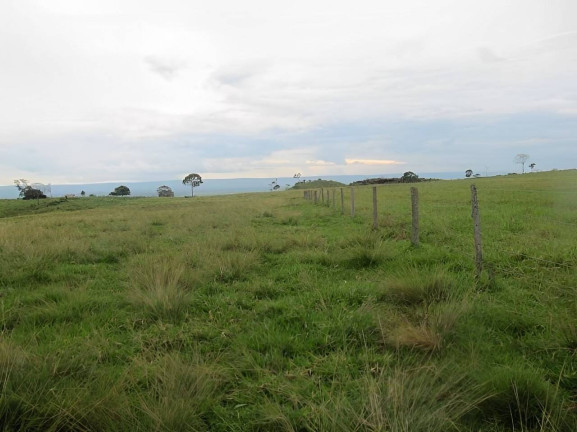 Imagem Fazenda à Venda, 2.541 m² em Centro - Pontes E Lacerda Imagem Fazenda à Venda, 2.541 m² em Centro - Pontes E Lacerda