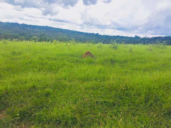 Imagem Chácara à Venda, 9 m² em Area Rural De Avaré - Avaré Imagem Chácara à Venda, 9 m² em Area Rural De Avaré - Avaré