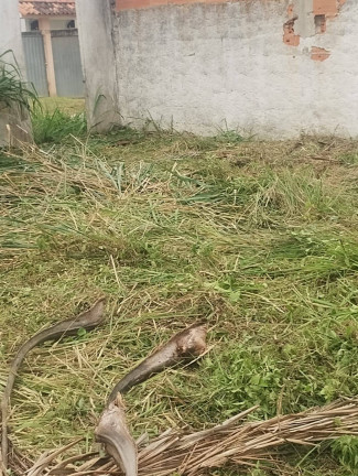 Imagem Terreno à Venda, 600 m² em Centro (iguabinha) - Araruama Imagem Terreno à Venda, 600 m² em Centro (iguabinha) - Araruama