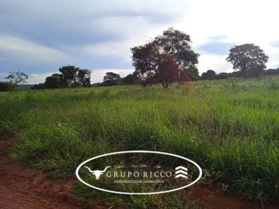 Imagem Fazenda à Venda, em Zona Rural - Montes Claros De Goiás Imagem Fazenda à Venda, em Zona Rural - Montes Claros De Goiás