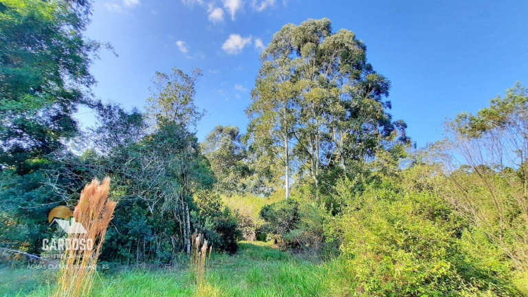 Imagem Fazenda à Venda, 100.000 m² em águas Claras - Viamão Imagem Fazenda à Venda, 100.000 m² em águas Claras - Viamão