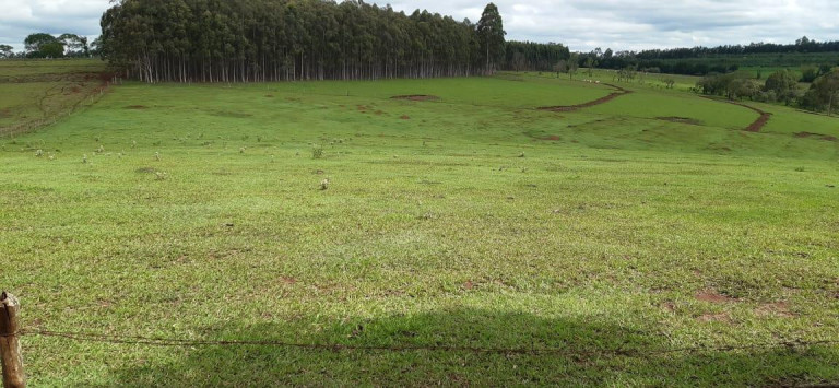Imagem Chácara à Venda, 13 m² em Rural - Piraju Imagem Chácara à Venda, 13 m² em Rural - Piraju