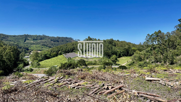 Imagem Terreno à Venda, 11.990 m² em Operário - Barão Imagem Terreno à Venda, 11.990 m² em Operário - Barão