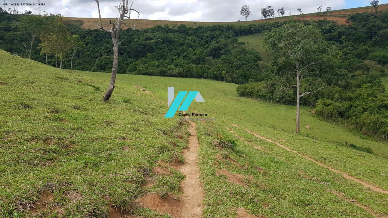 Imagem Fazenda à Venda, 128 m² em Zona Rural - Oliveira Imagem Fazenda à Venda, 128 m² em Zona Rural - Oliveira