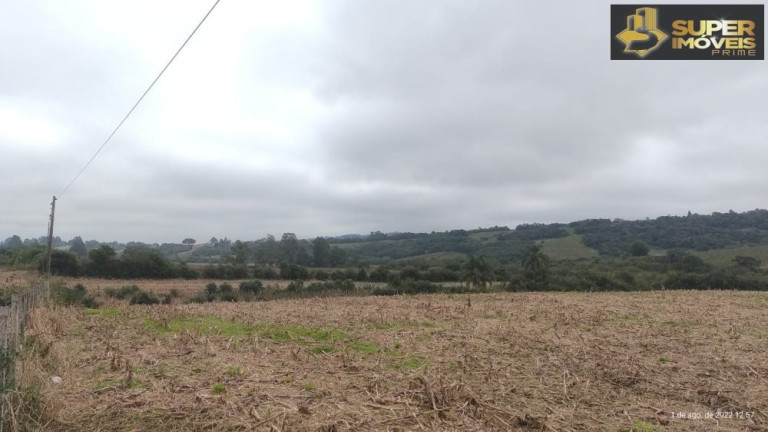 Imagem Imóvel com 2 Quartos à Venda, 240.000 m² em Centro - Morro Redondo