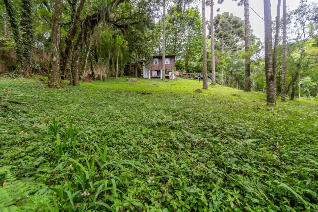 Imagem Terreno à Venda, 745 m² em Santa Felicidade - Curitiba Imagem Terreno à Venda, 745 m² em Santa Felicidade - Curitiba