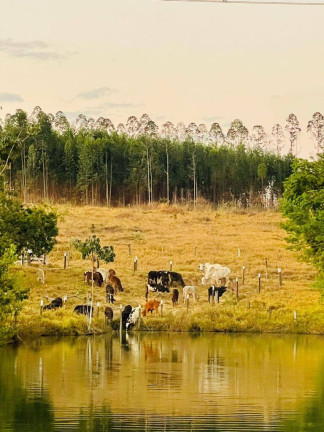 Imagem Fazenda à Venda, 1 m² em Zona Rural - Ipameri Imagem Fazenda à Venda, 1 m² em Zona Rural - Ipameri