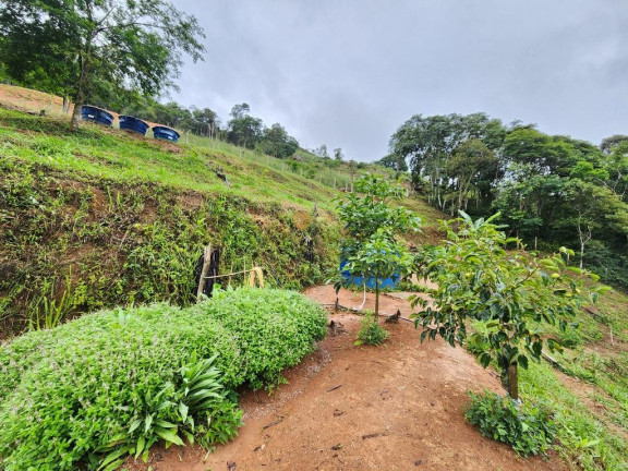 Imagem Casa com 2 Quartos à Venda, 120 m² em Pessegueiros - Teresópolis Imagem Casa com 2 Quartos à Venda, 120 m² em Pessegueiros - Teresópolis