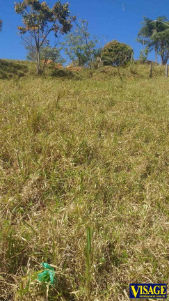 Imagem Terreno à Venda, 1.000 m² em Buquirinha - São José Dos Campos Imagem Terreno à Venda, 1.000 m² em Buquirinha - São José Dos Campos