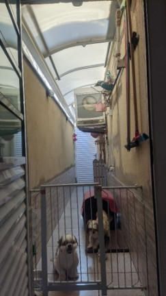 Imagem Sobrado com 2 Quartos à Venda, 75 m² em Caguassu - Sorocaba Imagem Sobrado com 2 Quartos à Venda, 75 m² em Caguassu - Sorocaba