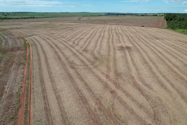 Imagem Fazenda à Venda, 74 m² em Zona Rural - Prata Imagem Fazenda à Venda, 74 m² em Zona Rural - Prata