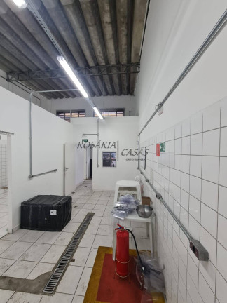 Imagem Galpão para Alugar, 204 m² em Santo Amaro - São Paulo