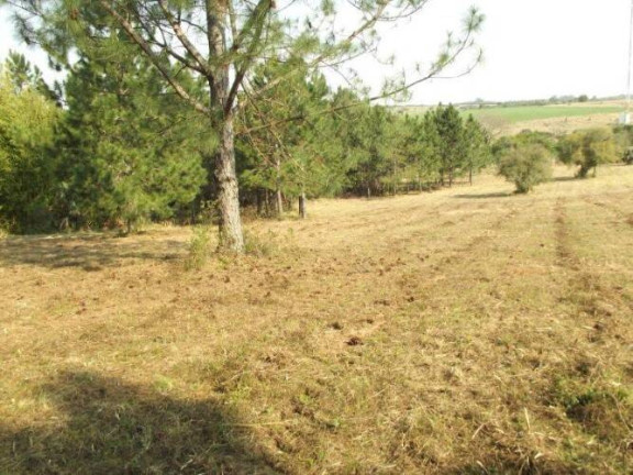 Imagem Terreno à Venda, 80.000 m² em águas Claras - Viamão