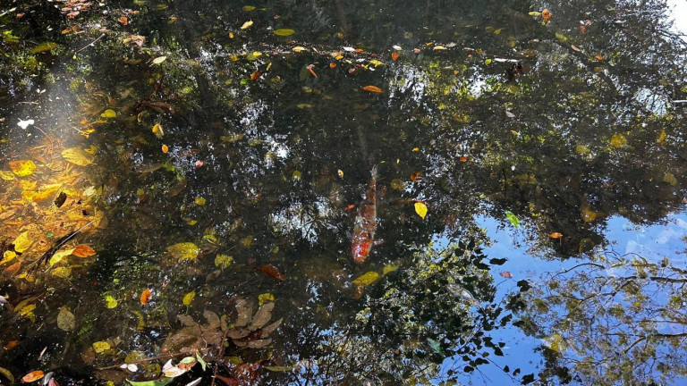 Imagem Terreno à Venda, 1.222 m² em Jardim Ana Cristina - Foz Do Iguaçu